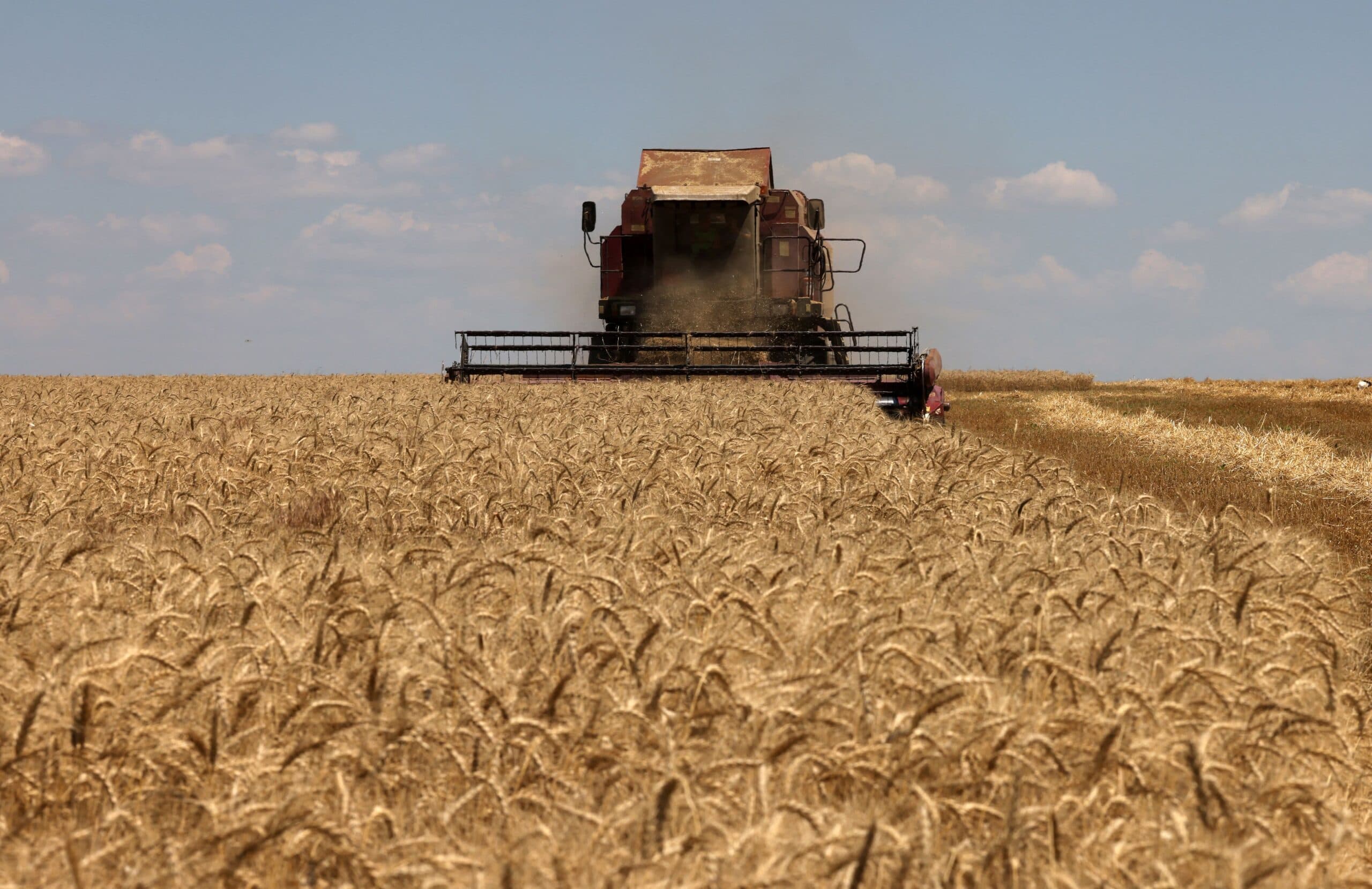 Harvesting wheat in the fertile Ukrainian steppe